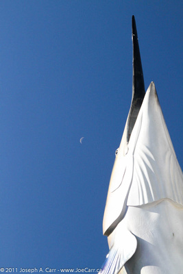 Marlin statue & Crescent Moon in the daytime sky