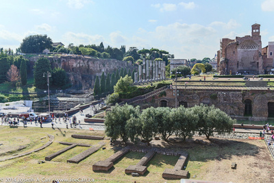 Roman Forum and the Via Sacra Roman road in front of the Palatine Hill