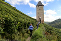 Alice leads the group from the tower through the vineyards