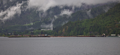 Salmon Bay